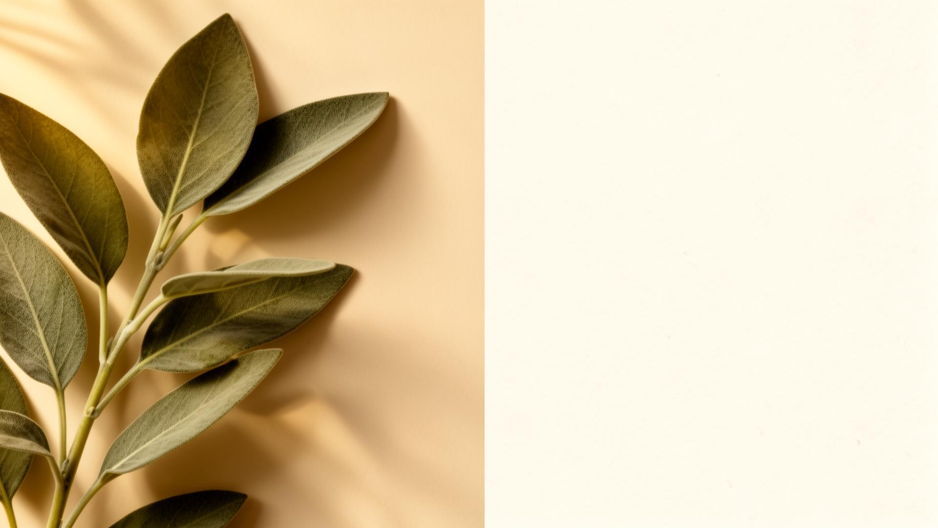 Sage leaves against a warm cream background — the visual language of Falcos